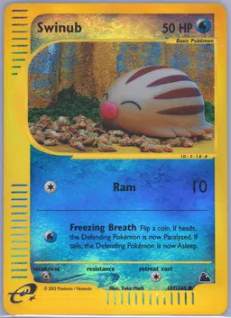Swinub #107