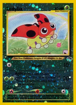 Ledyba #7