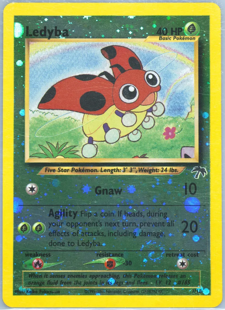 Ledyba card photo