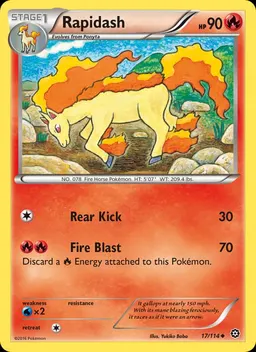 Rapidash #17