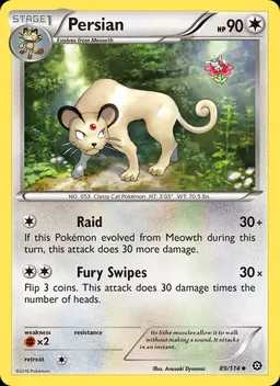 Persian #89