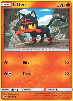 Litten #24