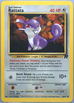 Rattata #66