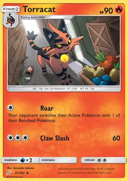 Torracat #21