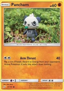 Pancham #81
