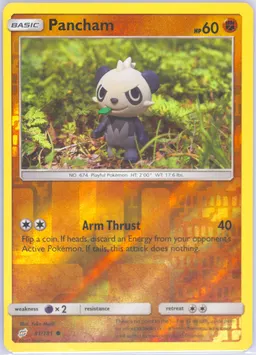 Pancham #81