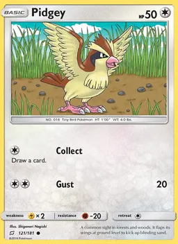 Pidgey #121