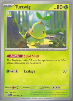 Turtwig #10