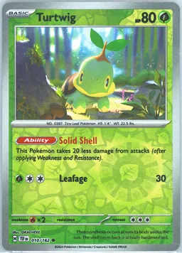 Turtwig #10