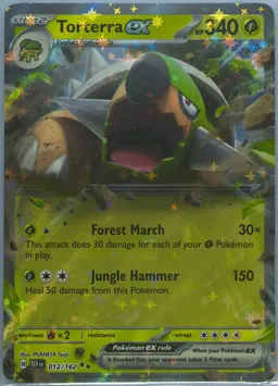 Torterra ex #12