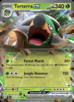 Torterra ex #12