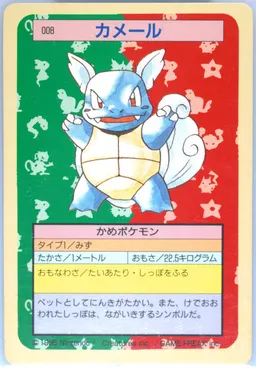 Wartortle #8
