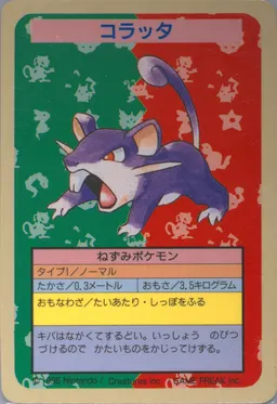 Rattata #19