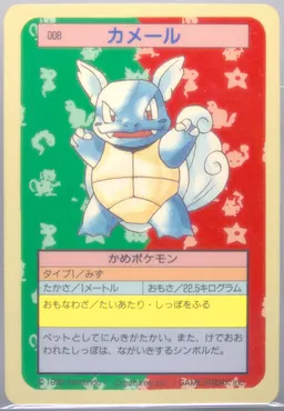 Wartortle #8