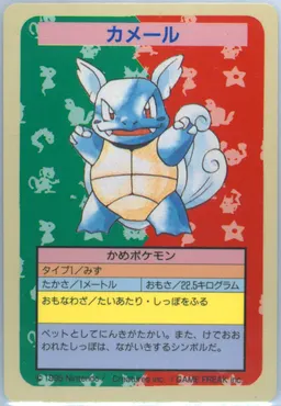 Wartortle #8