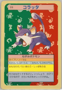 Rattata #19