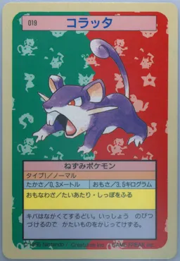 Rattata #19