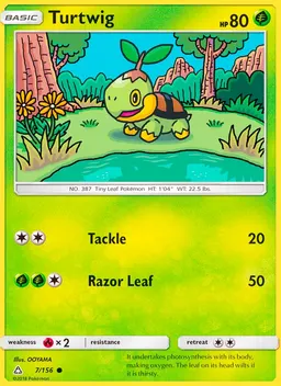 Turtwig #7