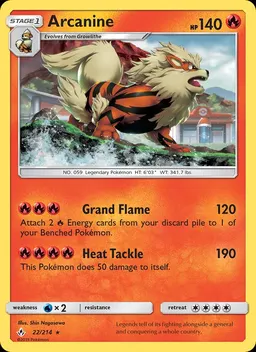 Arcanine #22