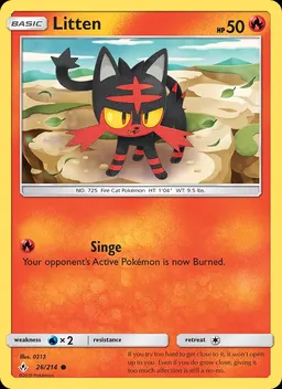 Litten #26