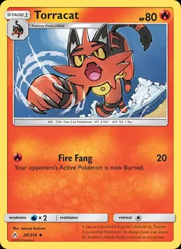 Torracat #28