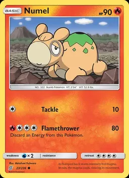 Numel #23