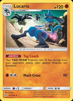 Lucario #117