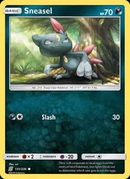 Sneasel #131
