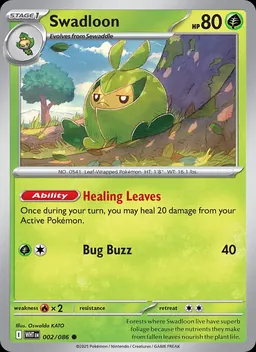 Swadloon #2