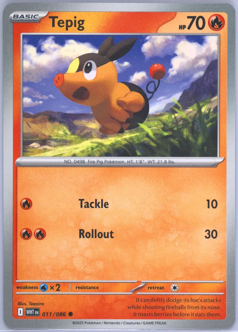 Tepig card photo