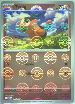 Tepig #11