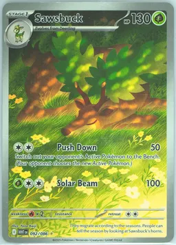 Sawsbuck #92