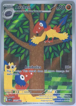 Archen #131