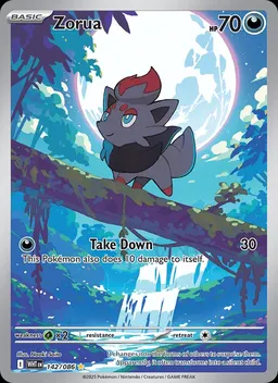 Zorua card photo