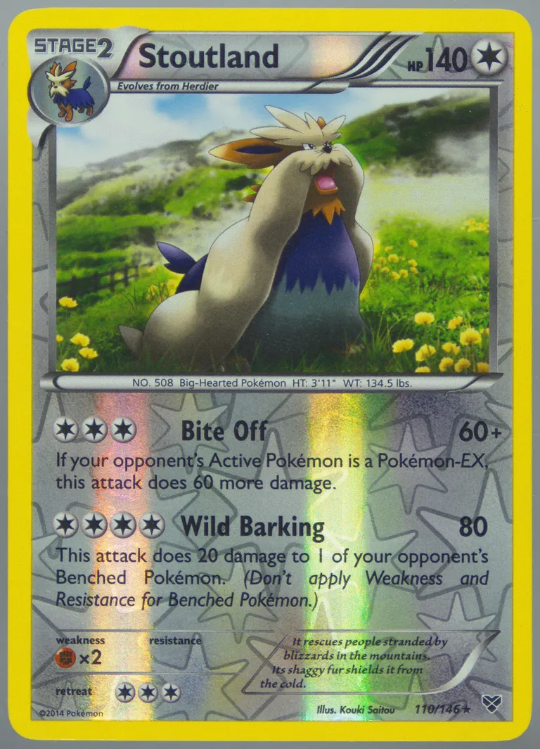 Stoutland card photo